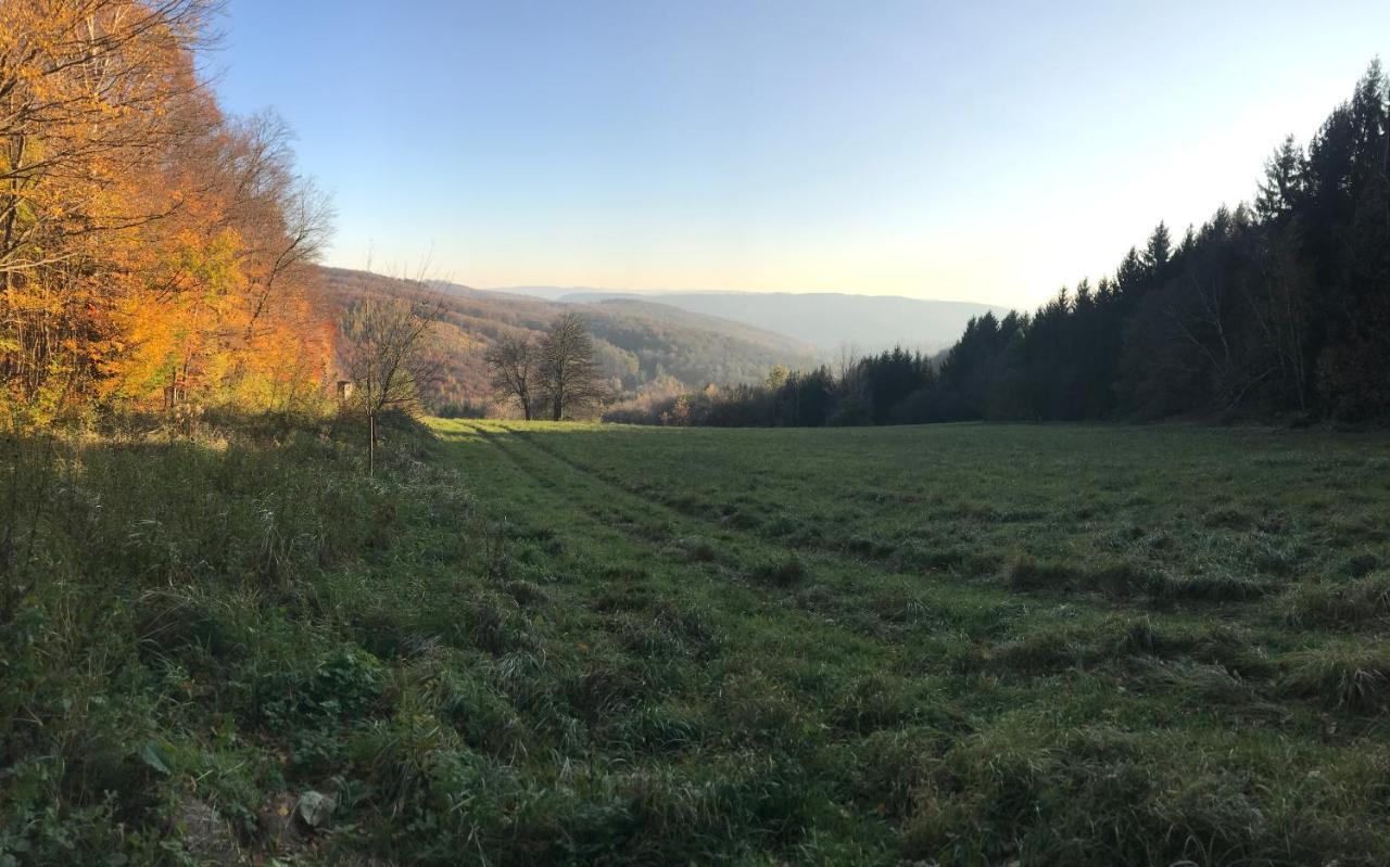 Haus-iris-mauerbach Mauerbach